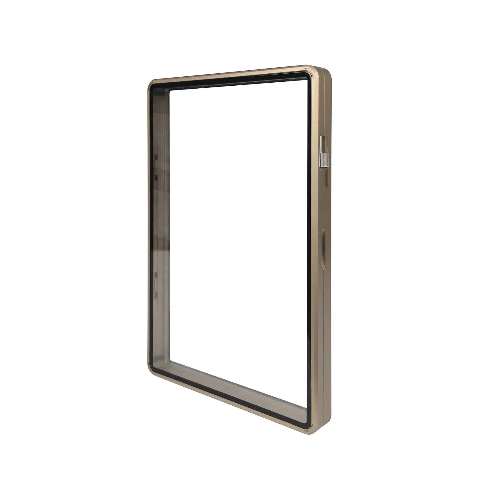 Slabmags Medium Sized BGS Slabmags Case - Matte Gold